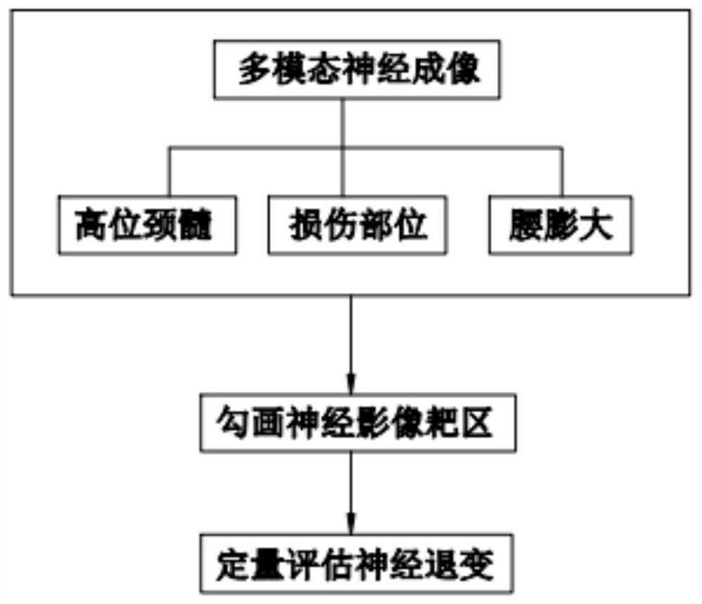 基于MRI多模态神经成像评估脊髓损伤程度的方法