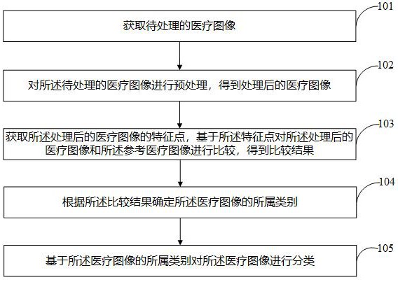 图像的分类方法、装置、存储介质及电子设备