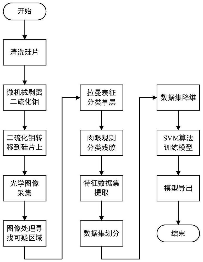 一种基于机器学习的单层二硫化钼样品光学表征方法、模型及其用途