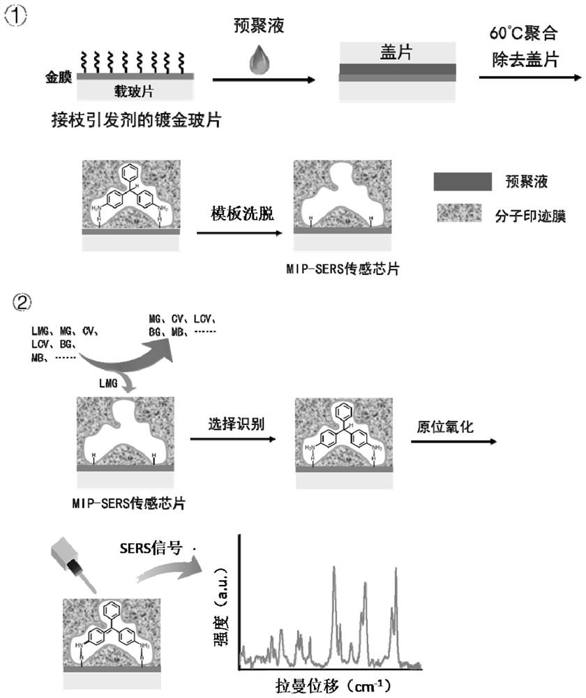 一种分子印迹-表面增强拉曼传感芯片及其制备方法和应用