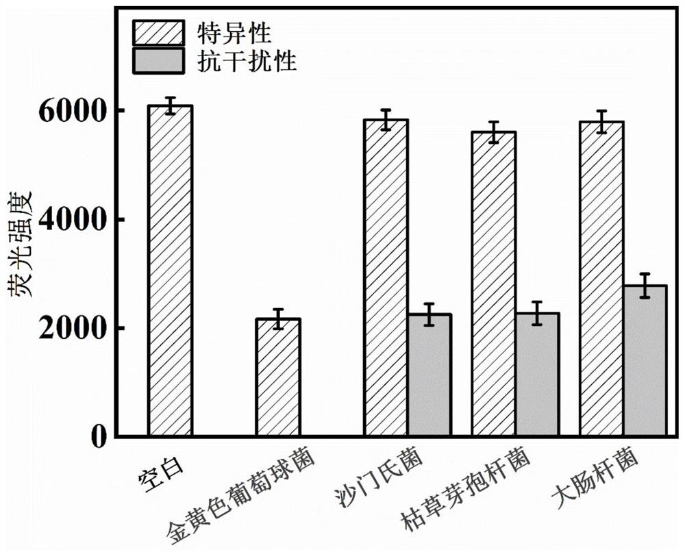 基于Fe3+猝灭上转换荧光的金黄色葡萄球菌快速检测方法