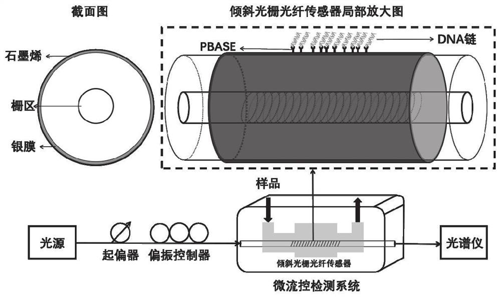 一种石墨烯敏增倾斜光栅光纤SPR传感器及解析方法和应用