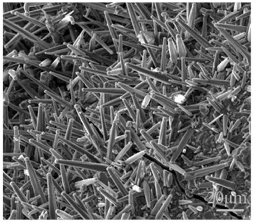 一种碳纤维表面原位自生弥散分布碳化物晶须及制备方法