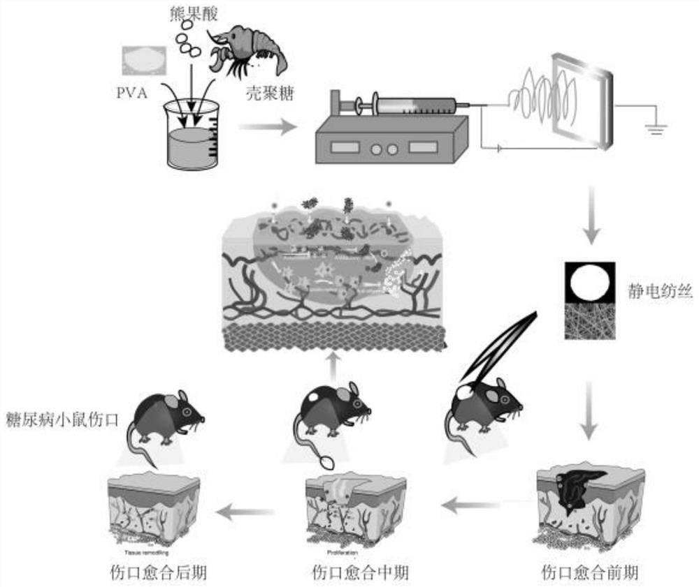 具有破损皮肤修复功能的纤维敷料及其制备方法