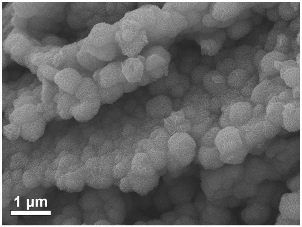 钴掺杂MoS2/NiS2多孔异质结构材料制备方法及其应用于电催化析氢