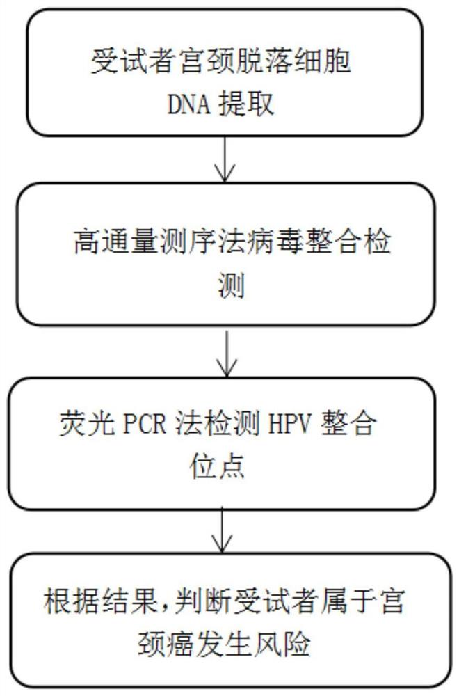 一种检测HPV整合基因位点的引物组合及试剂盒