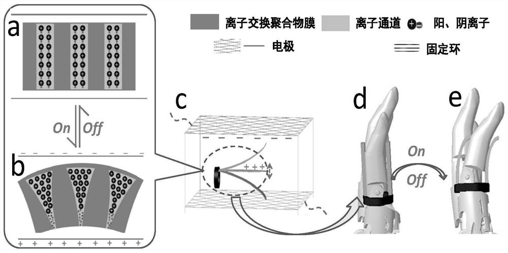 电场感应驱动的离子型电活性聚合物的制备方法和应用