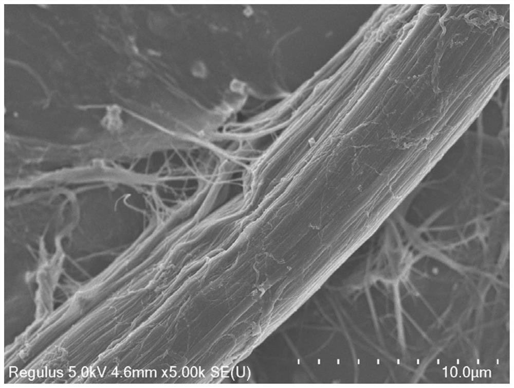 一种纤维素/芳纶纳米纤维原位复合纤维的制备方法