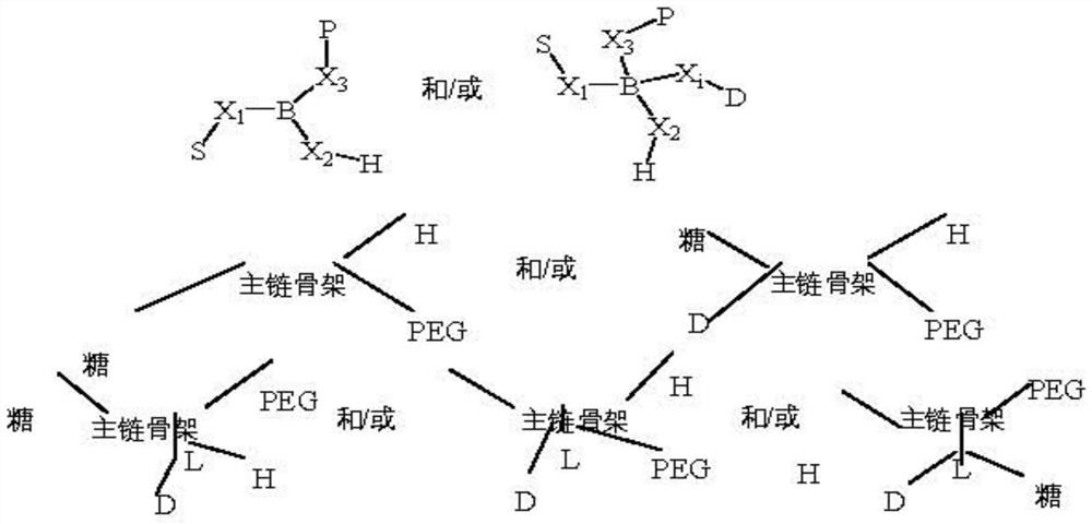 聚合物-碳水化合物的缀合物的药物转递技术