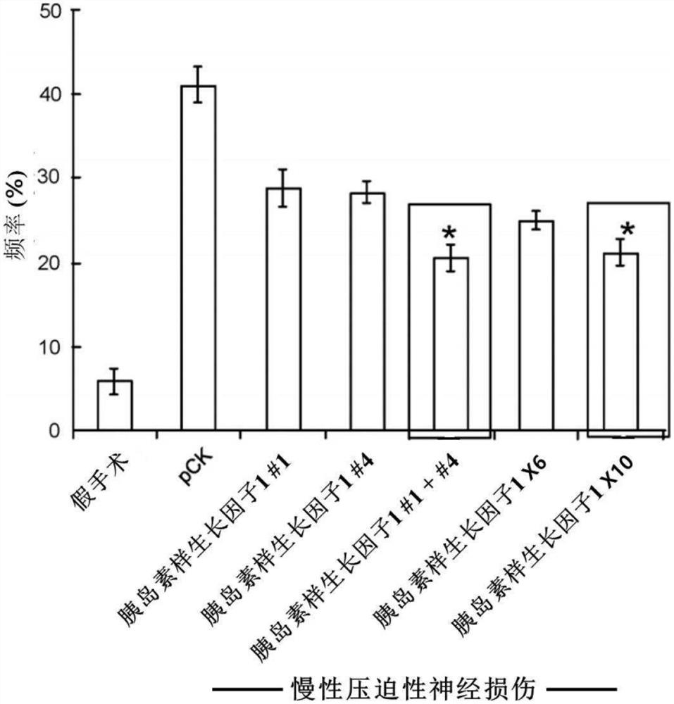 利用表达胰岛素样生长因子1异构体的脱氧核糖核酸构建体的神经病变的治疗