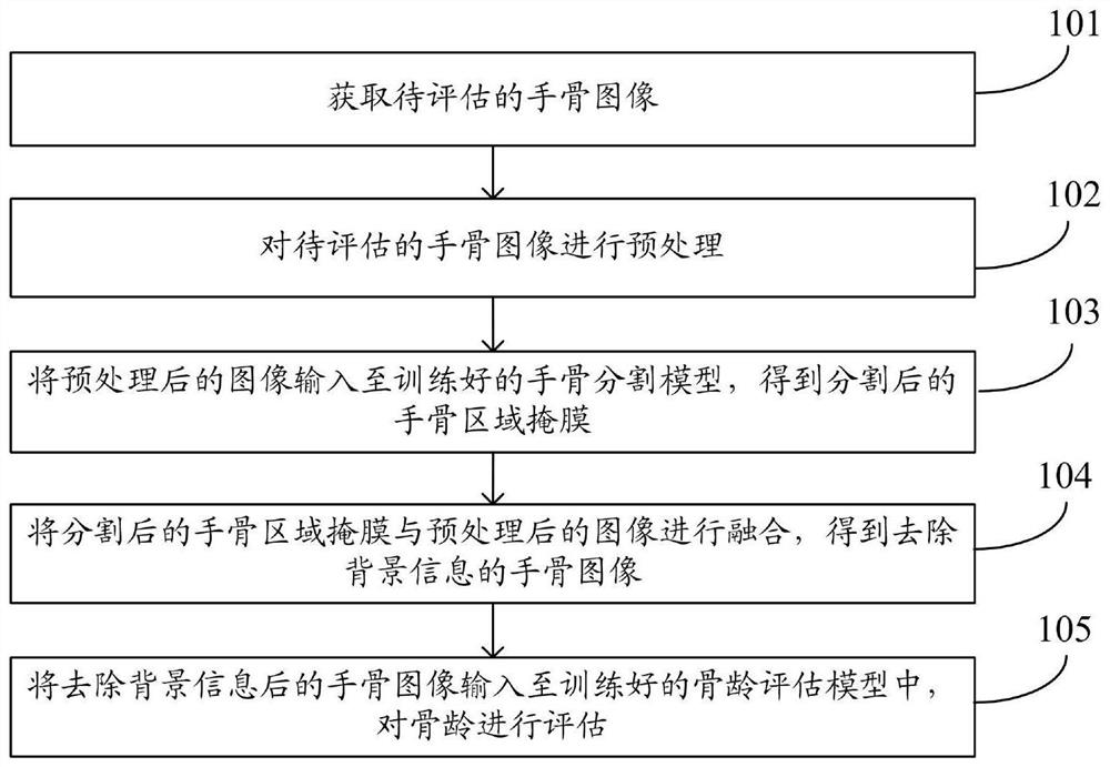 一种基于深度学习的儿童骨龄评估方法及系统