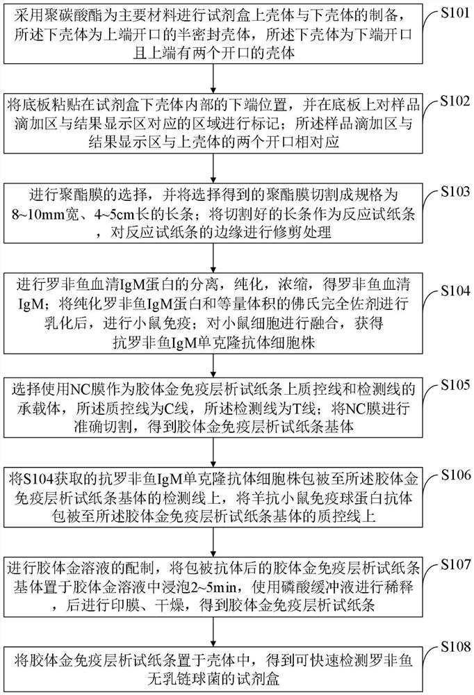 一种可快速检测罗非鱼无乳链球菌的试剂盒及其制备方法