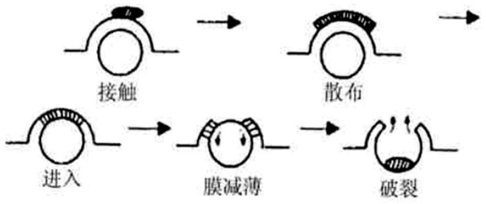 一种低泡织物柔顺除菌剂及其制备方法