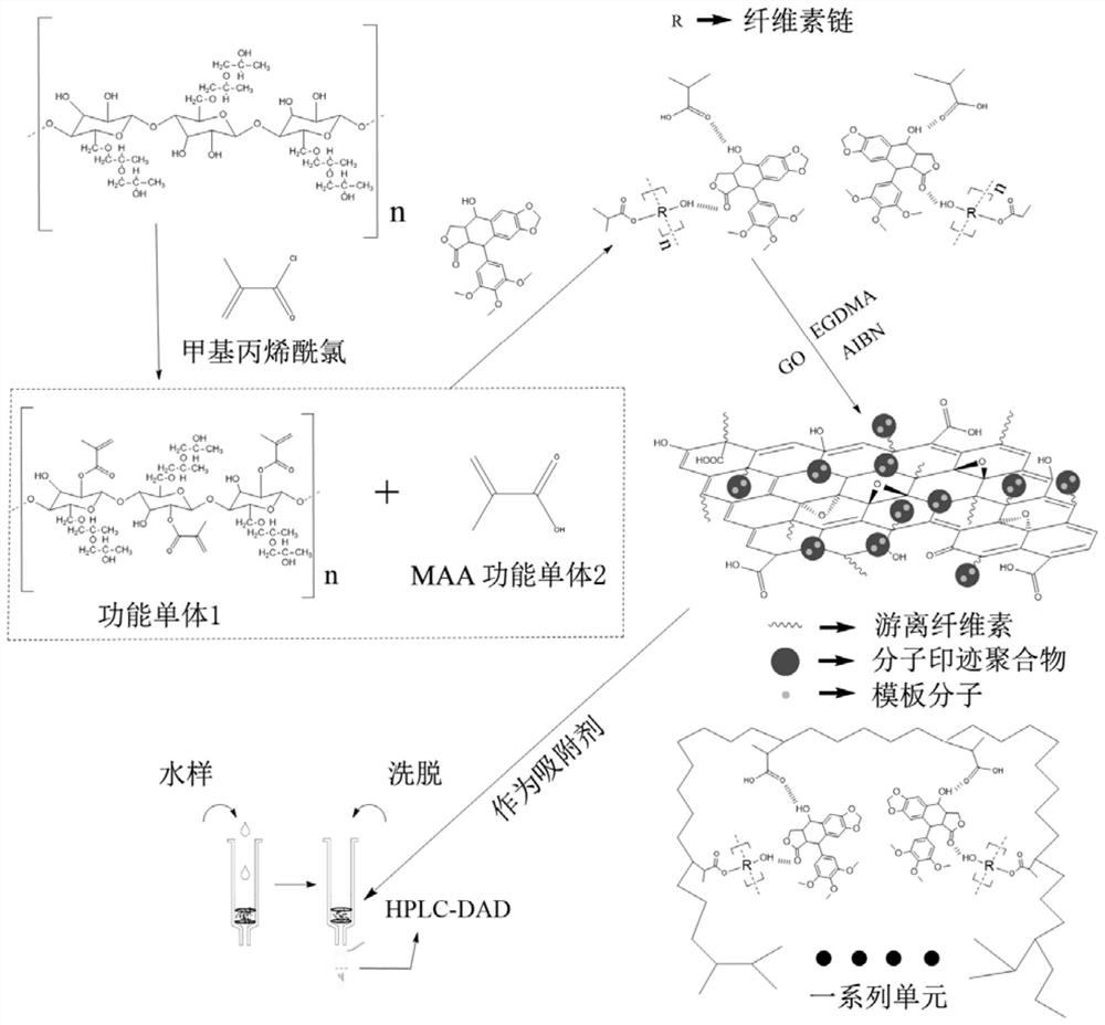 一种选择性分离富集鬼臼毒素复合材料及其制备方法