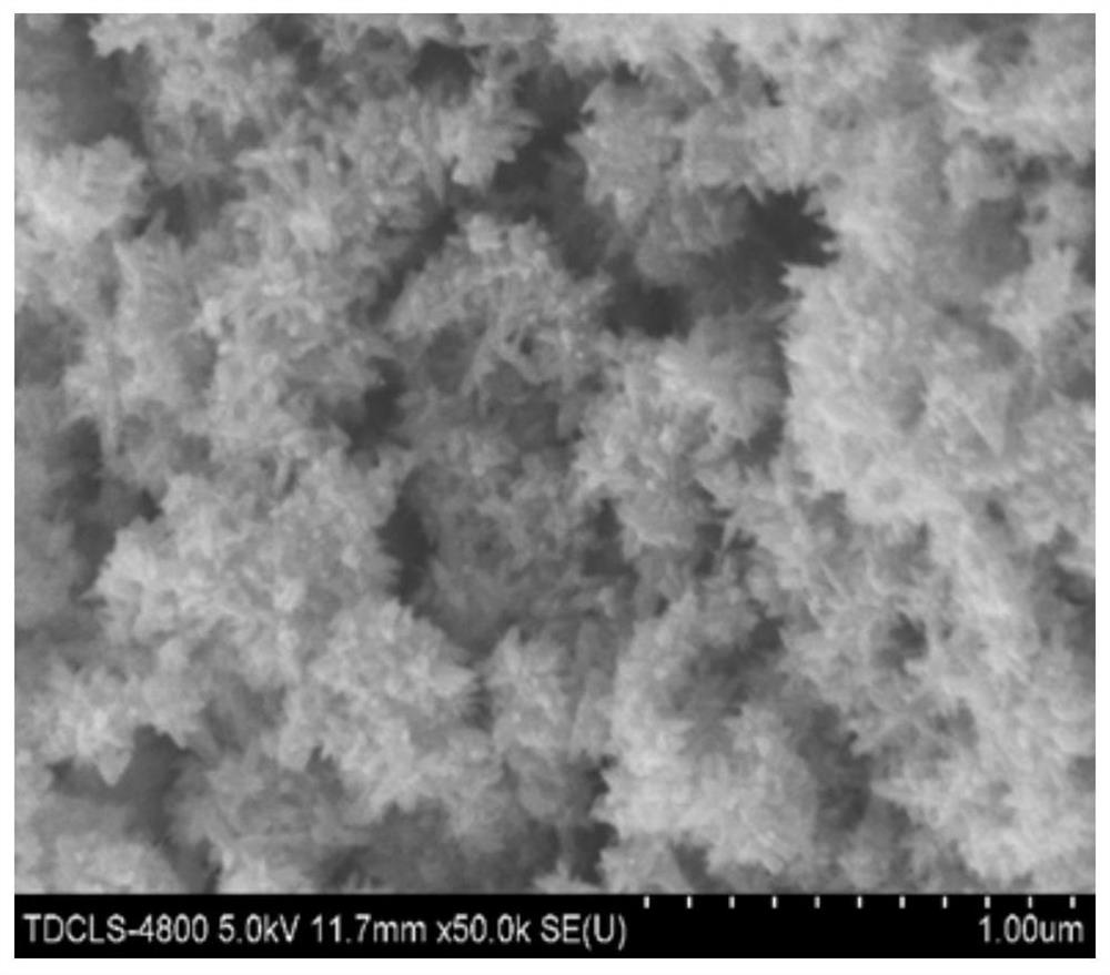 二氧化钛-碳纳米管柔性复合薄膜及其制备方法和应用