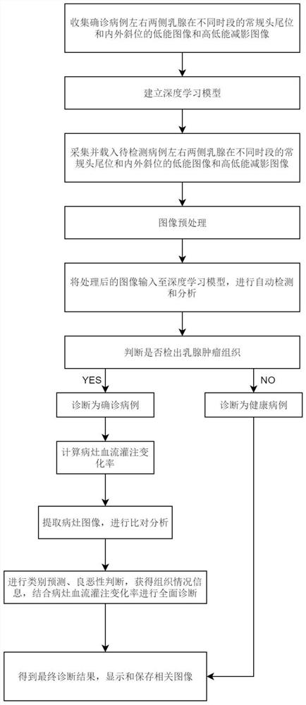 基于深度学习算法的乳腺肿瘤组织检测方法及装置