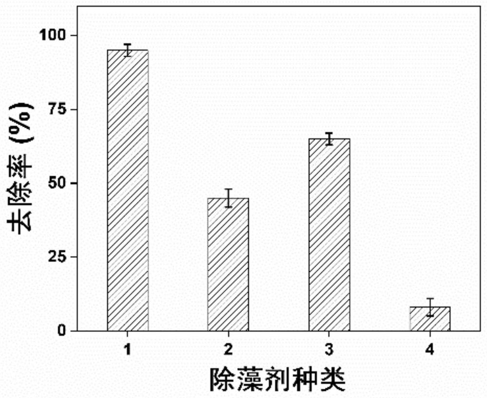 一种基于杨梅素活化过硫酸盐的赤潮藻除藻剂及其应用