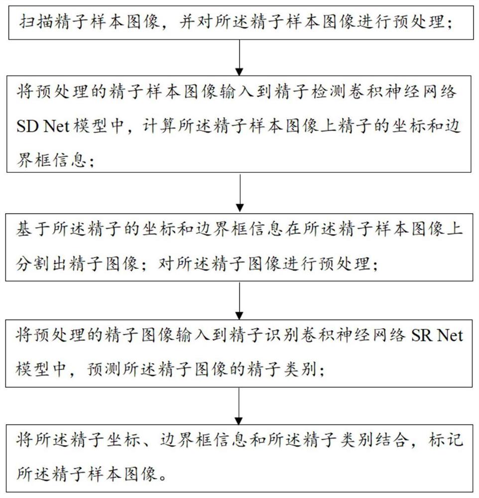 一种基于多尺度特征融合的精子形态学自动分析方法