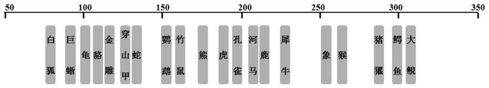 一种特异性扩增野生动物源成分的引物组、检测体系及试剂盒