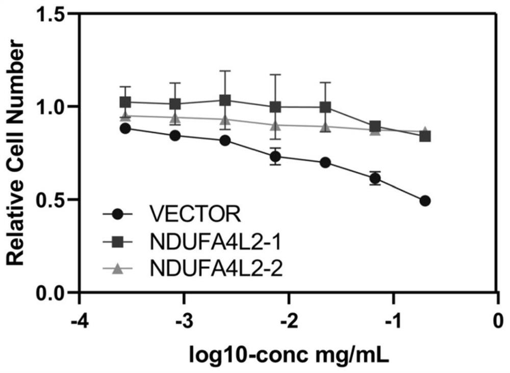 一种NDUFA4L2参与赫赛汀耐药的应用