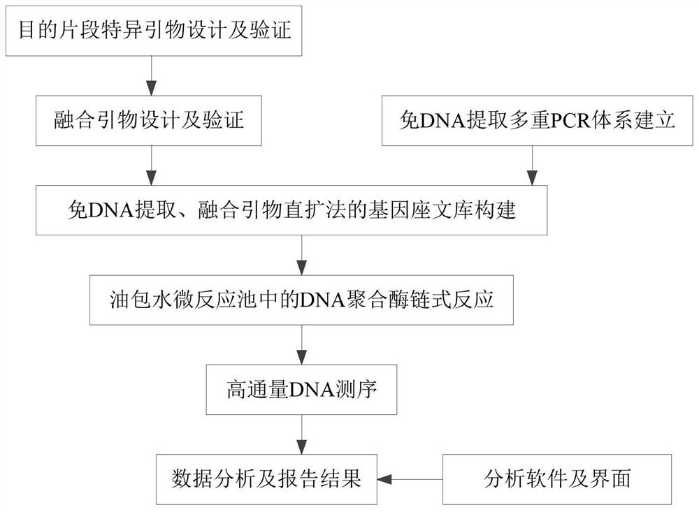 融合引物直扩法人类线粒体全基因组高通量测序试剂盒