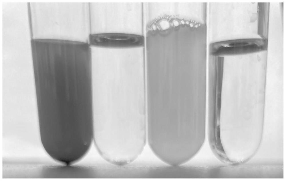 纳米硒合成菌、纳米硒合成菌的筛选方法及其应用