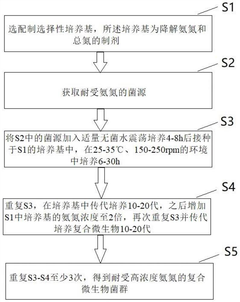 一种降解氨氮和总氮的制剂及其制备方法