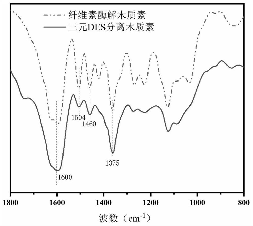 一种绿色溶剂快速、高得率分离木质素的方法