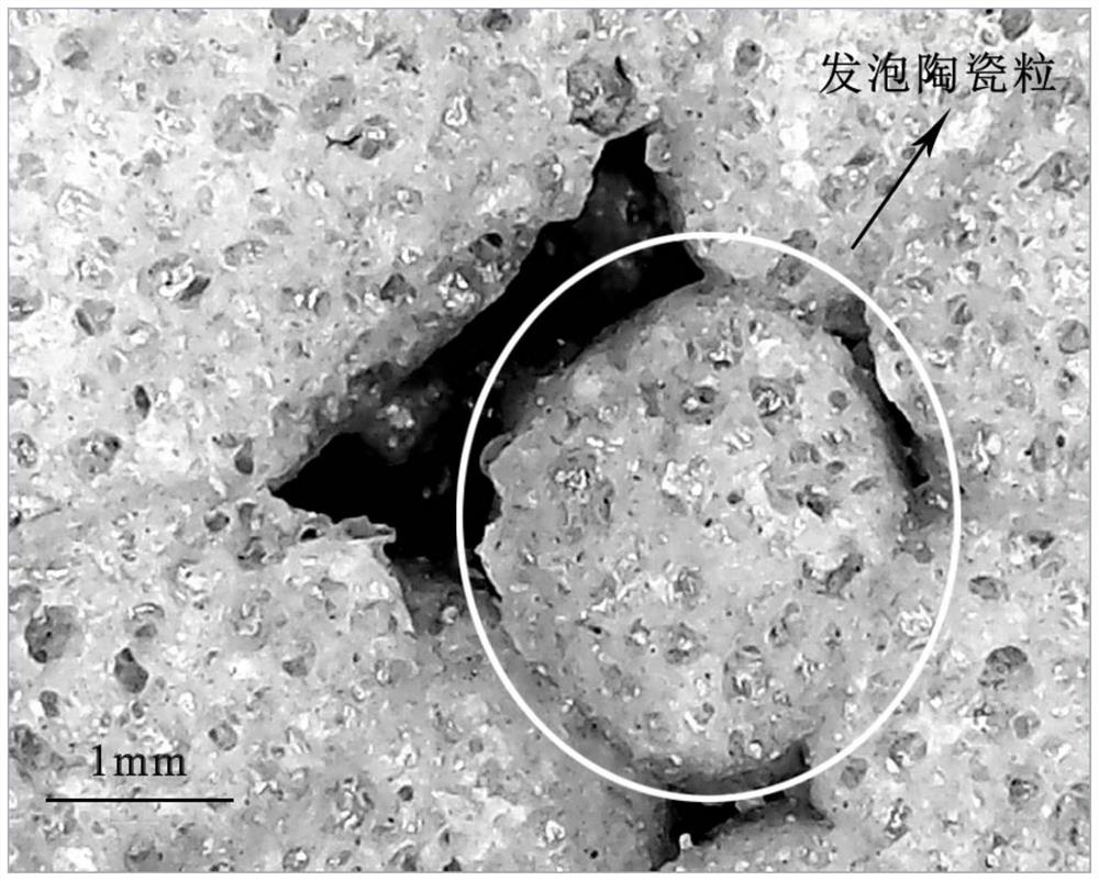 一种发泡陶瓷及其制备方法