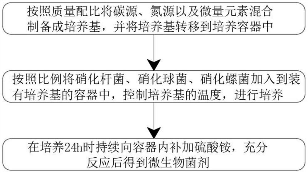 一种高效脱氮微生物菌剂