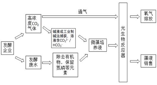 一种利用活性微藻耦合处理发酵排放废气与废水的方法