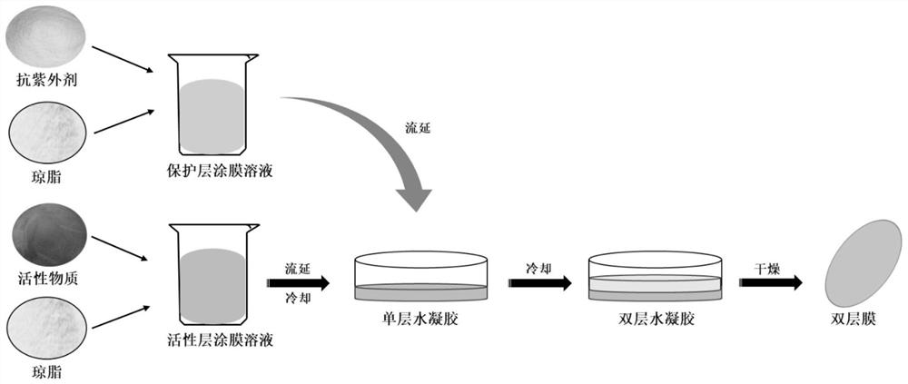 一种具备抗紫外特性和高活性物质保留特性的琼脂双层膜的制备方法