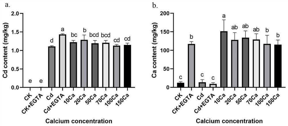 EGTA在增效氯化钙于香菇培养中富钙降镉能力的应用