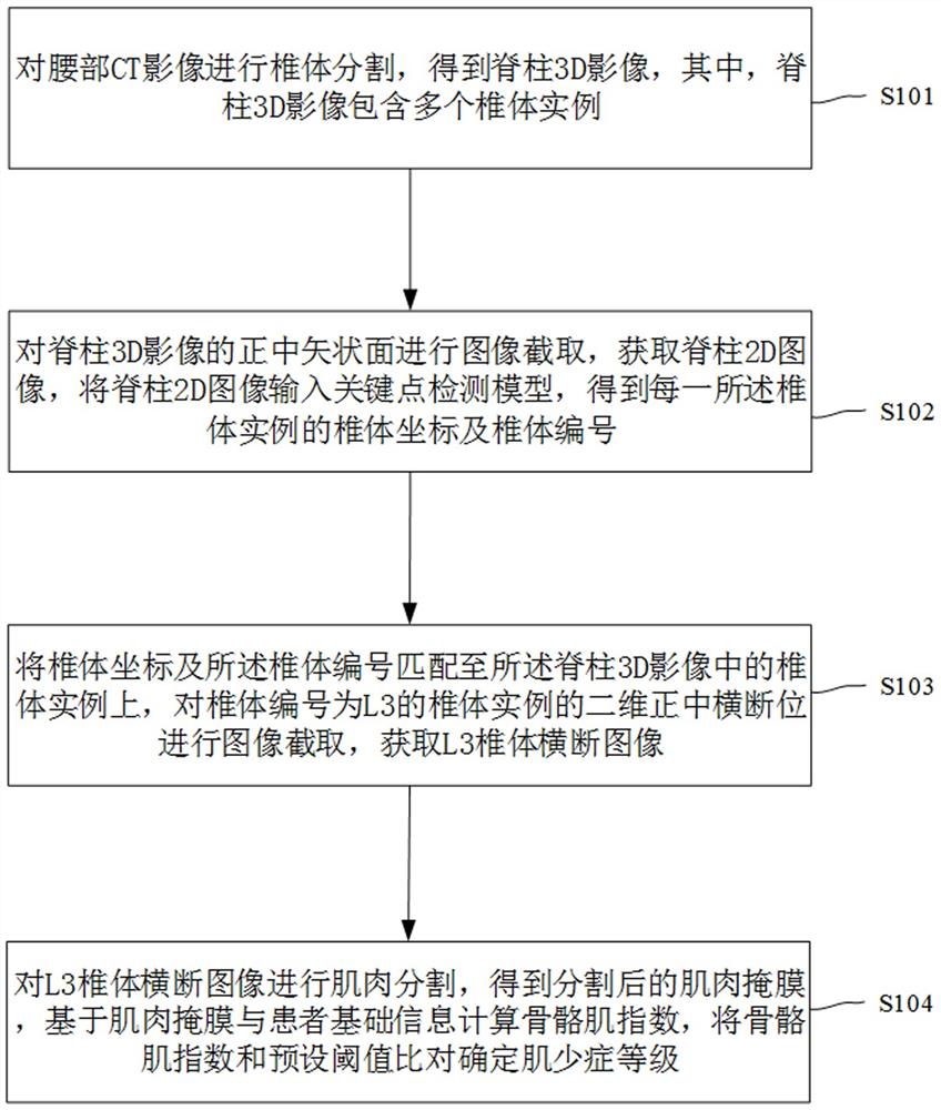 基于CT影像肌少症评估的图像处理方法和装置