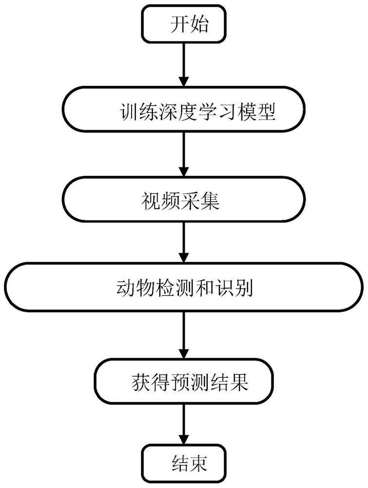 一种动物个体识别方法