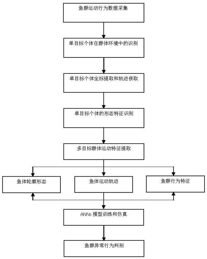 一种养殖背景条件下鱼群运动行为参数提取和分析方法