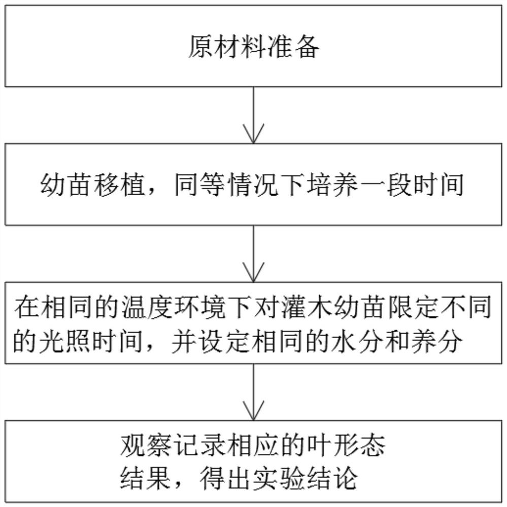 光强度下限对灌木幼苗叶形态影响实验方法