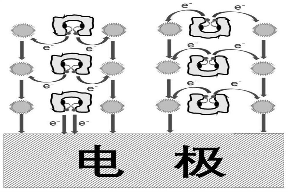 植入式葡萄糖生物传感器及其制备方法