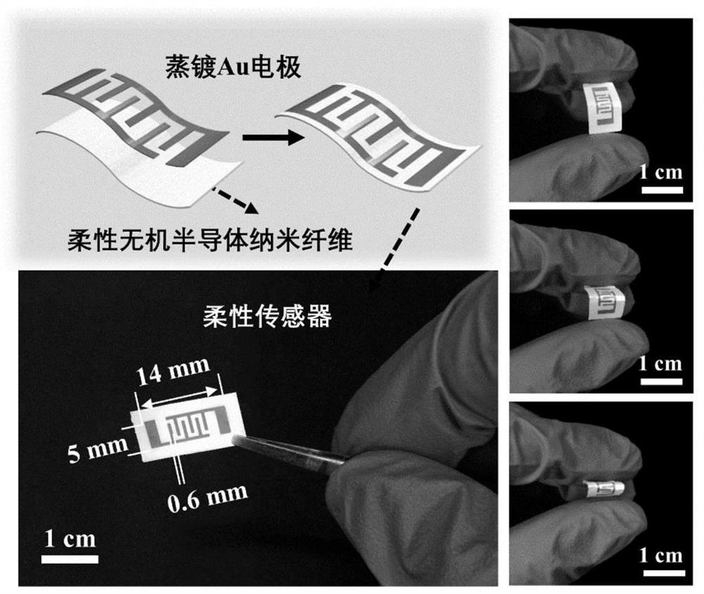 一种柔性无机半导体电阻型室温气体传感器及其制备方法
