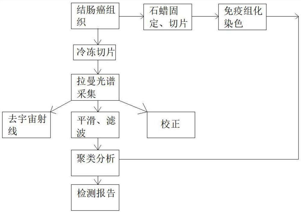 一种基于拉曼光谱的结直肠癌错配修复蛋白表达的检测方法