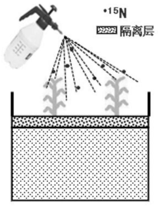 一种定量作物非根器官氮素吸收及其氮营养贡献的方法