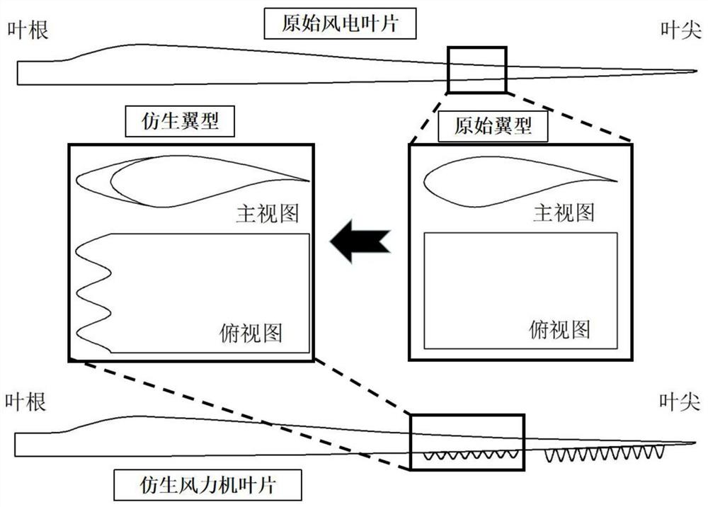 一种仿生前缘风电叶片及优化设计方法