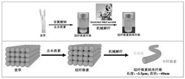 一种综纤维素纳米纤维的制备方法