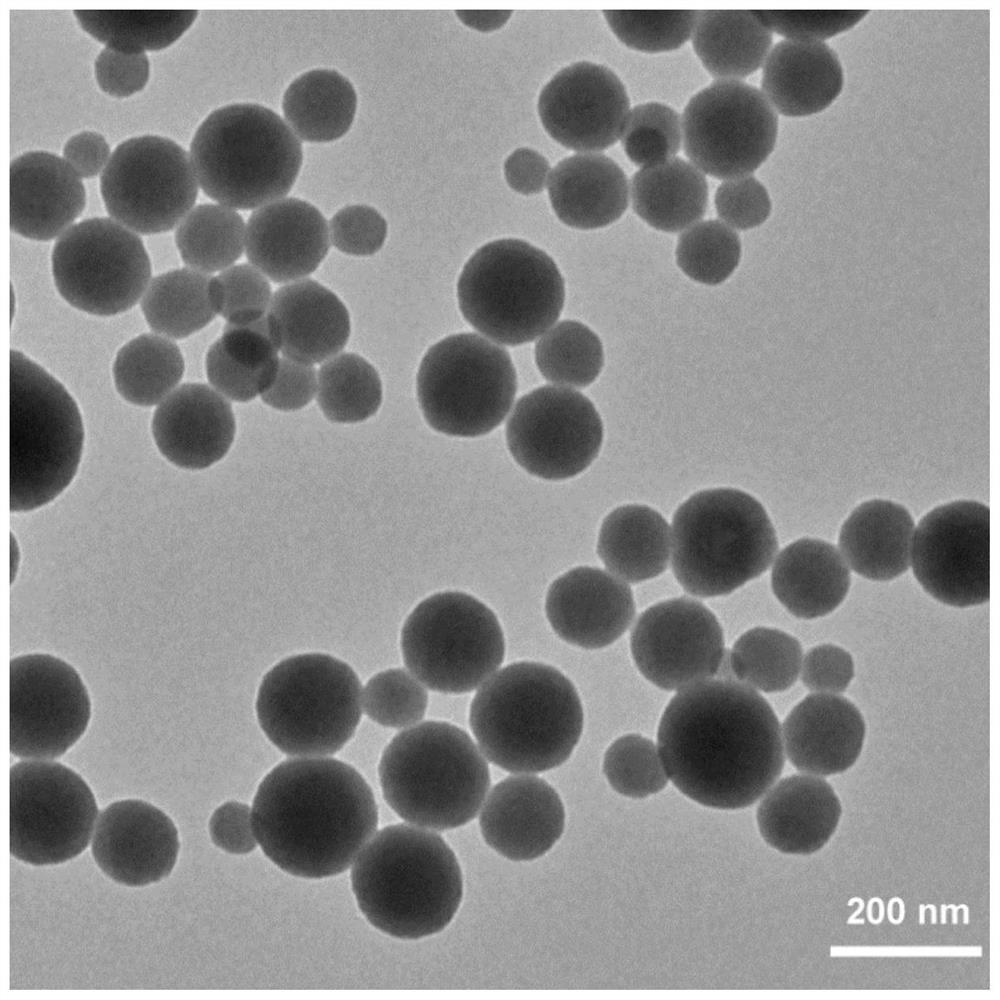 一种阳离子包覆的金属-核酸纳米探针及其制备方法和应用