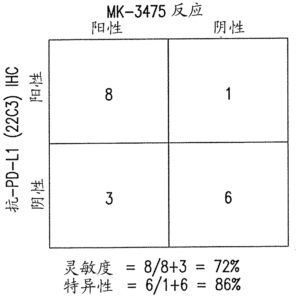 结合人程序性死亡配体1(PD-L1)的抗体