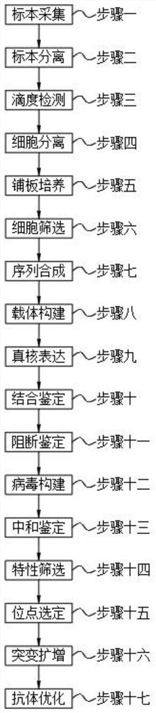 新型人源性单克隆中和性抗体XG-81与XG-83的制备方法