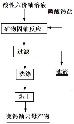 一种从酸性六价铀溶液中直接矿物固铀的方法