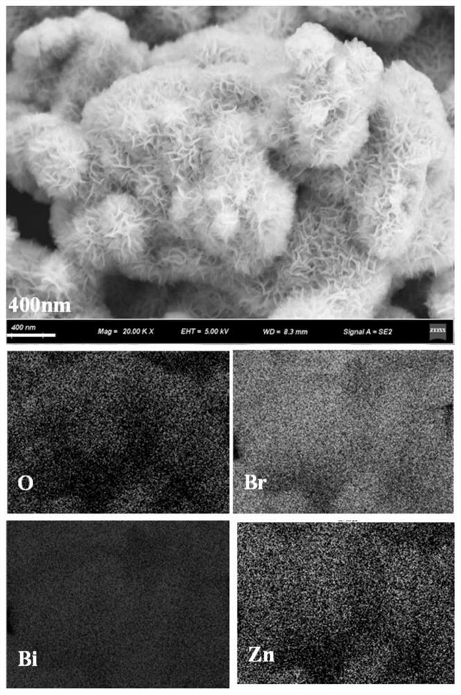 一种花球状溴氧化铋包覆氧化锌纳米棒可见光催化剂的制备方法及应用