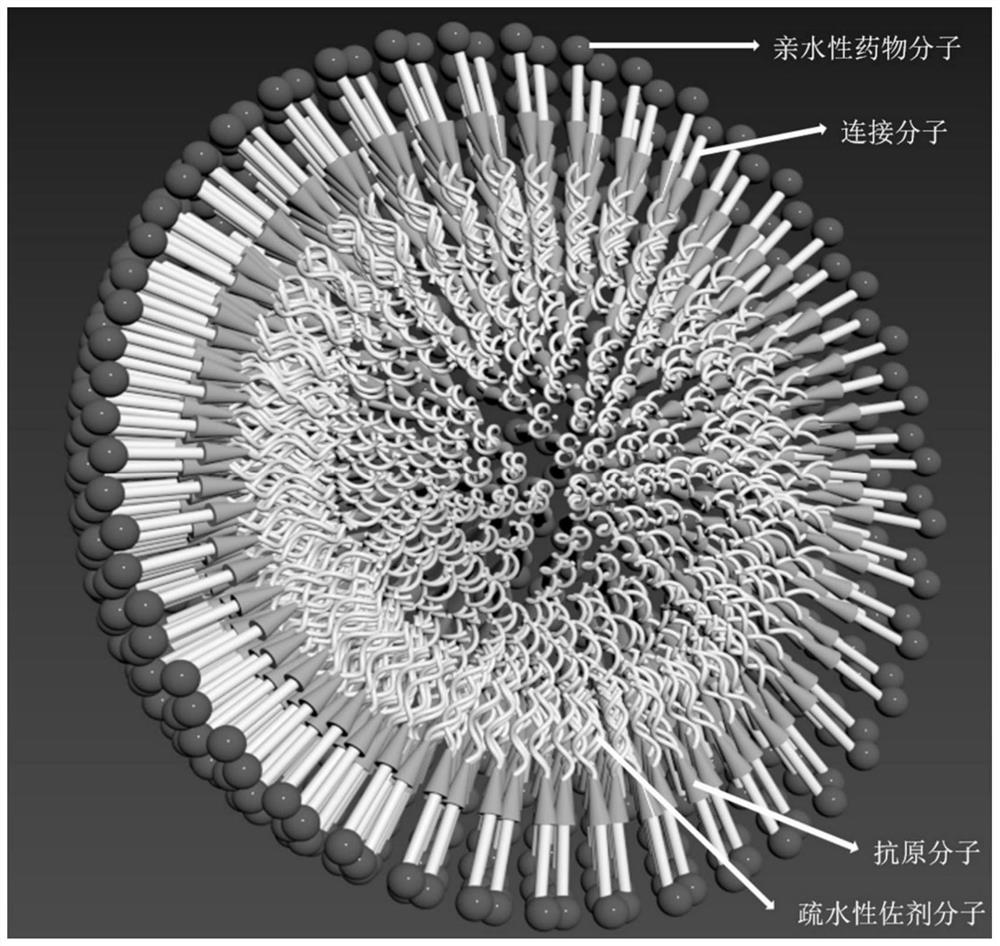 双轮状纳米颗粒及其制备方法