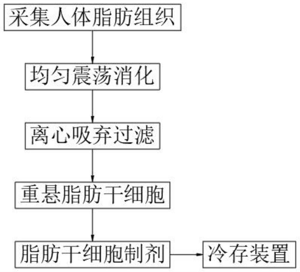 一种自体脂肪干细胞制剂制备工艺